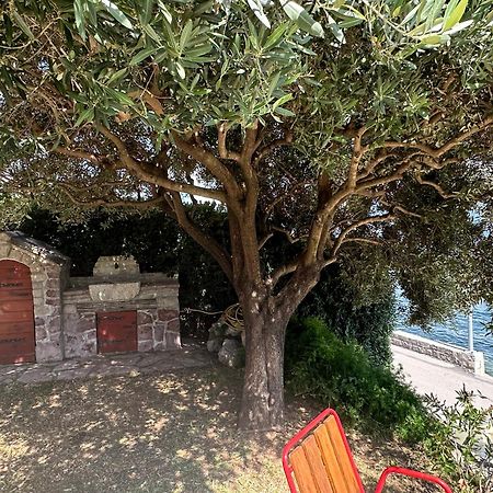 Vila Jadranka Apartments Herceg Novi Exterior photo